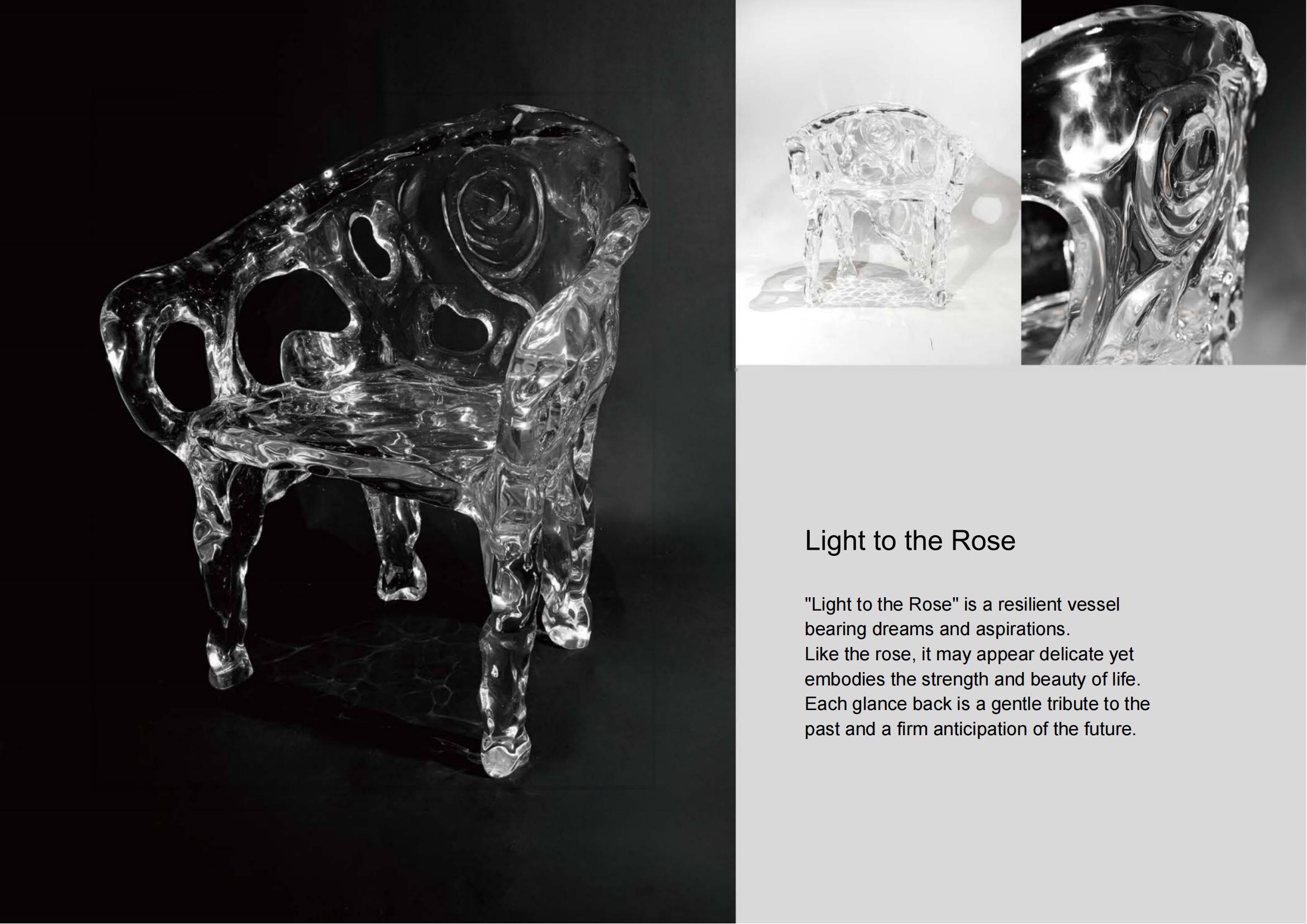 Light to the Rose